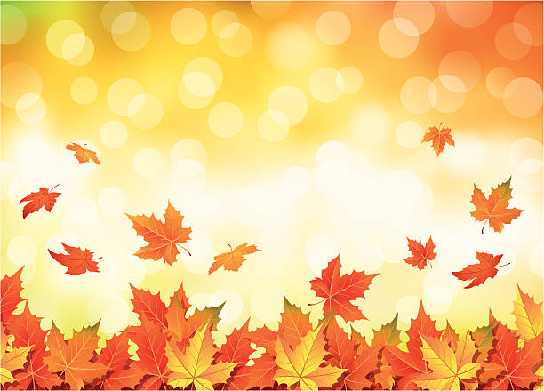 Illustrated autumn falling leaves background vector art illustration
