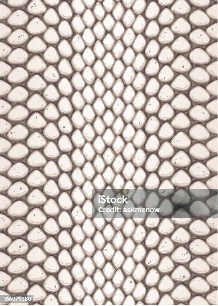 Python Skin Stock Illustration - Download Image Now - Snake, Animal Scale, Vector