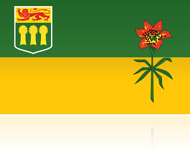 ilustraciones, imágenes clip art, dibujos animados e iconos de stock de bandera canadiense provincial: saskatchewan - saskatchewan province canada flag