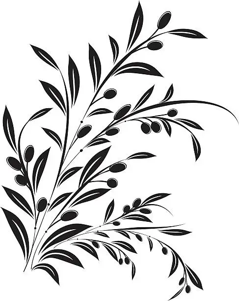Vector illustration of Olive Branch Ornament Vector Illustration