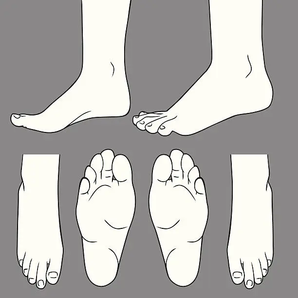 Vector illustration of Feet