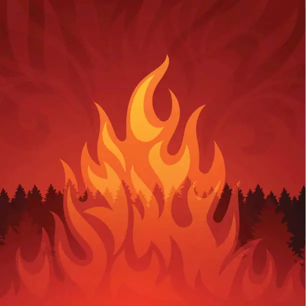 Vector illustration of Forest Fire