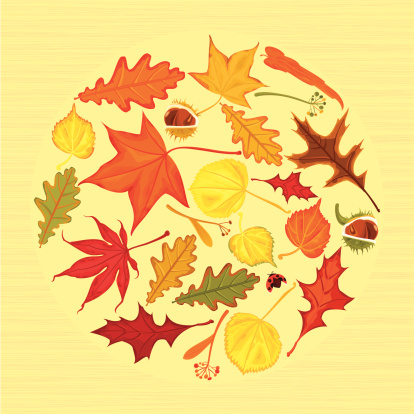 Autumn leaves with lady bug on yellow background (maple leaf, oak leaf, lime leaf, chestnut) . Seamless Vector. EPS 8.