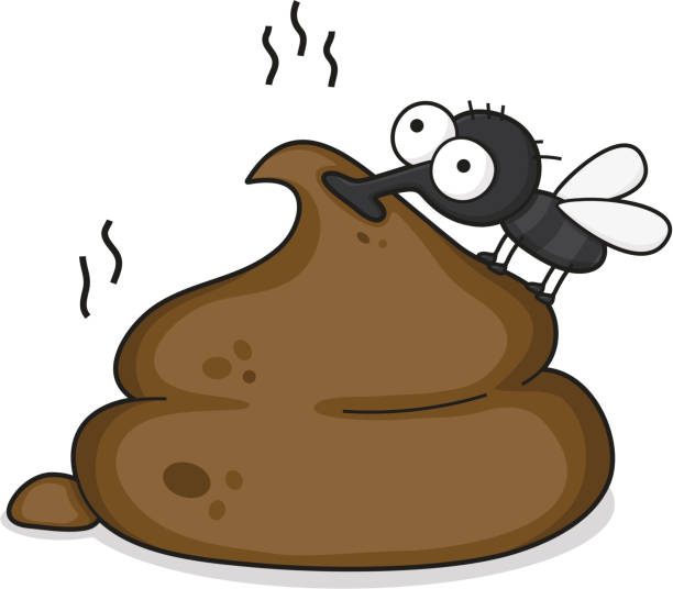 cartoon fly on a pile of shit vector illustration of a fly sitting on a pile of shit Shit Fly stock illustrations