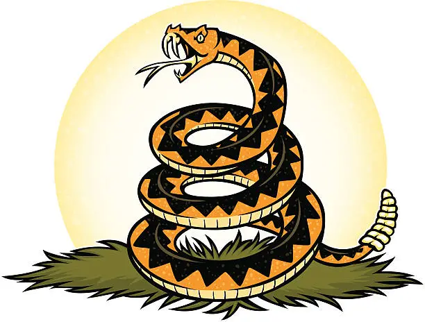 Vector illustration of dont tread on me snake