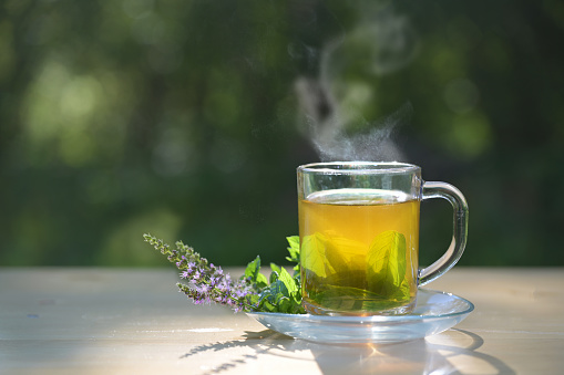Steaming herbal tea made from fresh peppermint leaves in a glass cup, flowering twigs lying next to it on a wooden table in the garden, dark green background, copy space, selected focus