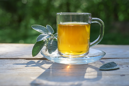 Sage tea in a glass mug on a wooden table, healthy hot drink and home remedy for coughs, sore throat, digestive problems, gingivitis and sweating, dark green background, copy space, selected focus