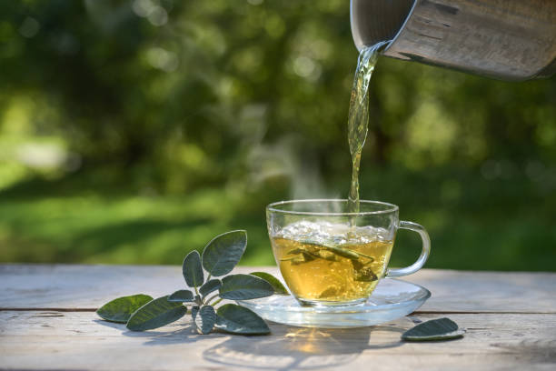 Pouring hot water in a glass cup with sage leaves, healthy herbal tea and home remedy for coughs, sore throat and digestive problems, dark green background, copy space Pouring hot water in a glass cup with sage leaves, healthy herbal tea and home remedy for coughs, sore throat and digestive problems, dark green background, copy space, selected focus glass cup of boiling water stock pictures, royalty-free photos & images