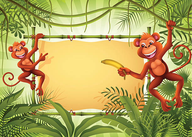 обезьяны с баннер в джунглях - tropical climate banner tropical rainforest placard stock illustrations