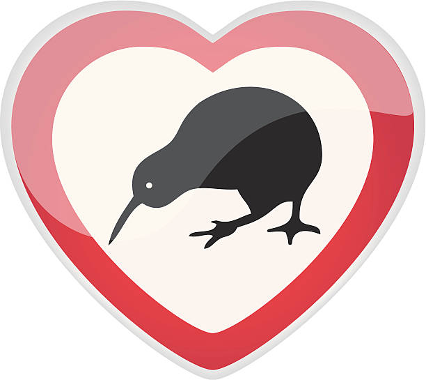 illustrations, cliparts, dessins animés et icônes de amour de kiwi - national wildlife reserve illustrations