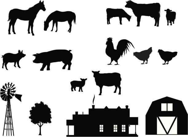 illustrations, cliparts, dessins animés et icônes de animaux de la ferme silhouette - lamb young animal sheep livestock