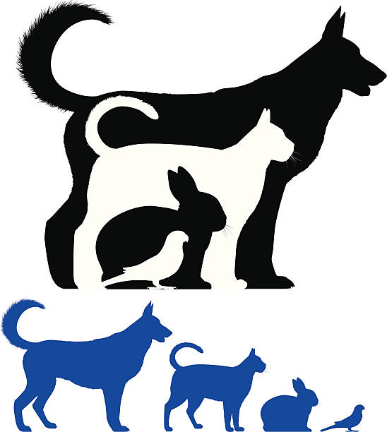 Pet Silhouette Profile of a dog, cat, rabbit and bird. This file is layered and ready for editing. parrot silhouette stock illustrations