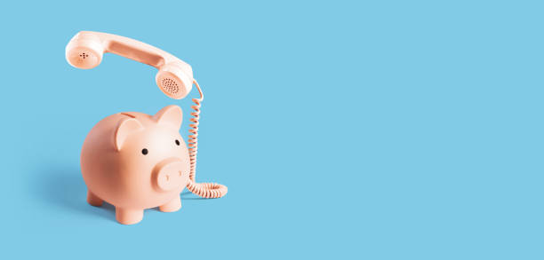 istock Piggy bank telephone: insurance and banking service concept 1660813844