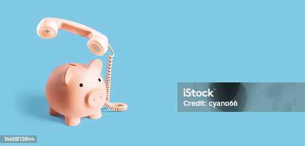 istock Piggy bank telephone: insurance and banking service concept 1660813844