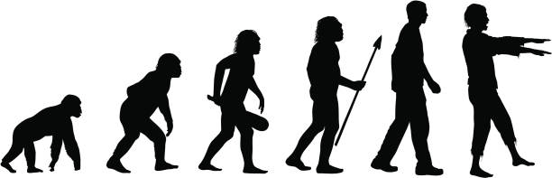 evolution des zombie - evolution stock-grafiken, -clipart, -cartoons und -symbole