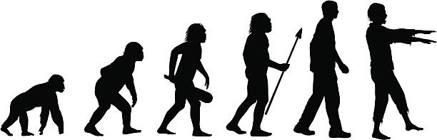 Evolution of the Zombie Evolution of the zombie vector illustrations. From chimp to caveman to human to zombie. growth silhouettes stock illustrations