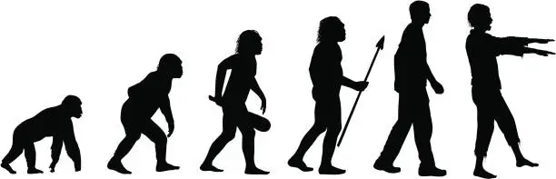 Vector illustration of Evolution of the Zombie