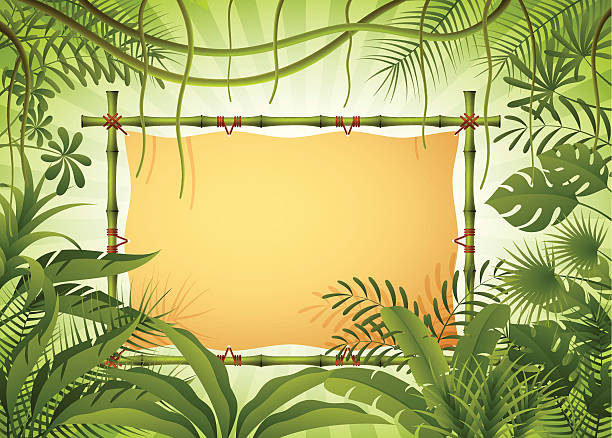 ilustraciones, imágenes clip art, dibujos animados e iconos de stock de banner de bambú en la selva - jungle