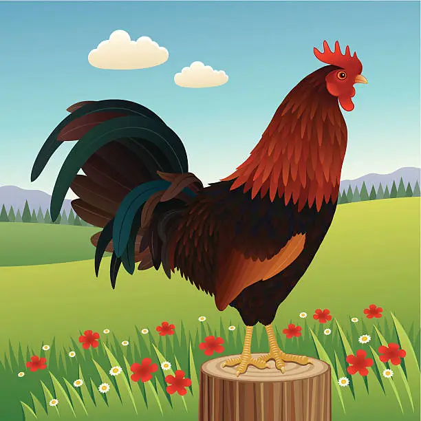 Vector illustration of The Rooster