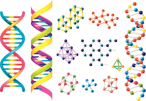 Set of assorted colorful DNA models vector art illustration