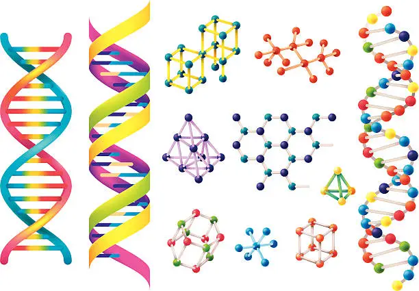 Vector illustration of Set of assorted colorful DNA models