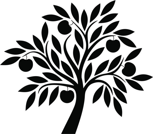 apple tree - apfelbaum stock-grafiken, -clipart, -cartoons und -symbole