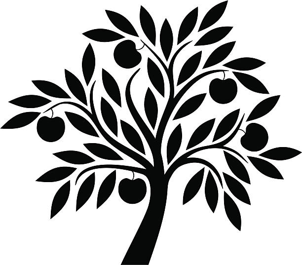 яблоня - fruit tree stock illustrations