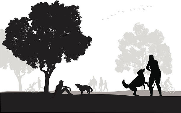 dogpark - focus on shadow women bicycle outdoors stock-grafiken, -clipart, -cartoons und -symbole