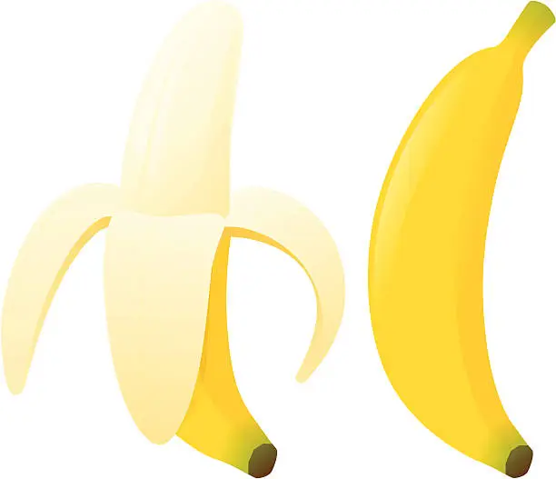 Vector illustration of Bananas