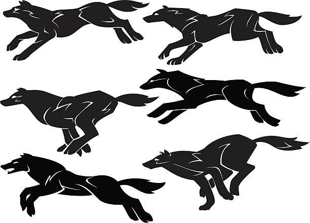 Wolf Pack vector art illustration