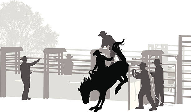 buckaroo - rodeo cowboy horse silhouette stock illustrations