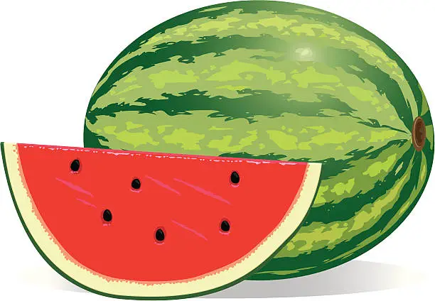 Vector illustration of Ripe Sliced Watermelon