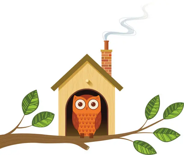 Vector illustration of Cartoon image of an owl in a little house on a tree branch