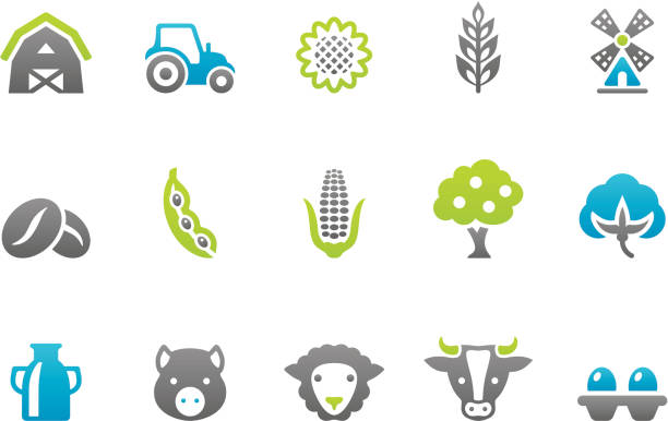 ilustraciones, imágenes clip art, dibujos animados e iconos de stock de iconos de granja stampico - green pea isolated white background vegetable