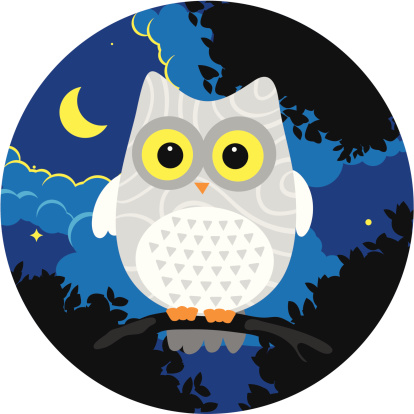 White eagle owl in the night. Vector graphic. Smart groups and layers, easy to switch of the background