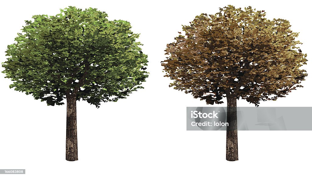 Tree Two Part Color Tree Design Two Trees Design Elements Stock Illustration - Download Image Now ...
