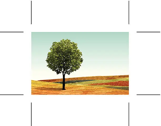 Vector illustration of summer landscape banner with tree