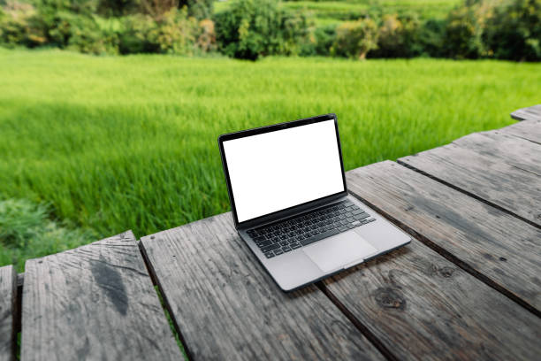 istock Laptop computer blank screen on a wooden terrace in the background of rice fields 1660839953