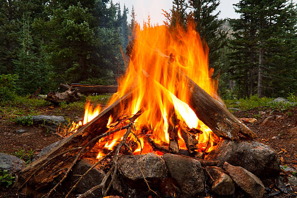 キャンプファイヤーで荒野キャンプ場 - rocky mountains fire pit camping colorado ストックフォトと画像