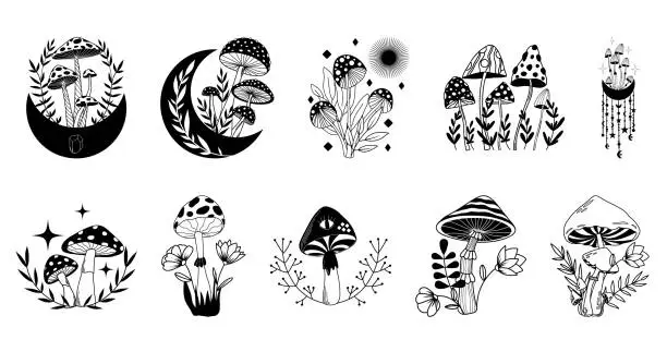 Vector illustration of Mystical boho mushrooms vector set, magic fantasy mushroom with moon and stars, witchcraft symbol, witchy esoteric objects, mystical floral elements