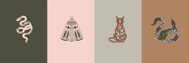 Vector illustration of Vector set of mystical celestial moths, snakes and cat, mystical animal illustrations, pre-made logo set