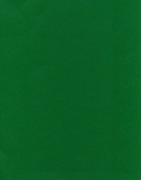 istock Fiber Paper Texture - Forest Green XXXXL 166087412