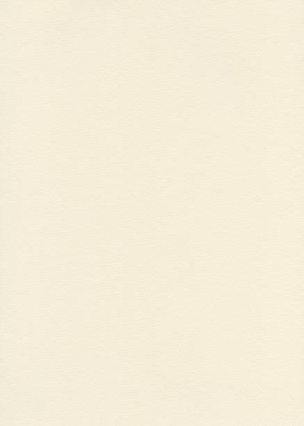 istock Fiber Paper Texture - Papaya Whip XXXXL 166088116