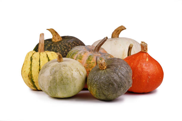 istock Mix of different colorful pumpkins and squashes 1660899097