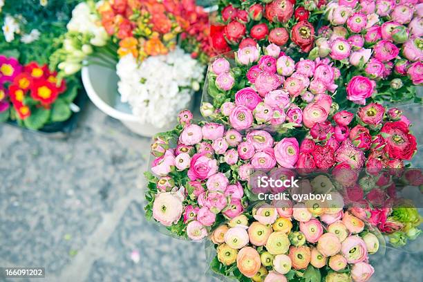 Flores De Primavera Fresca - Fotografias de stock e mais imagens de Bouquet - Bouquet, Branco, Cor de rosa