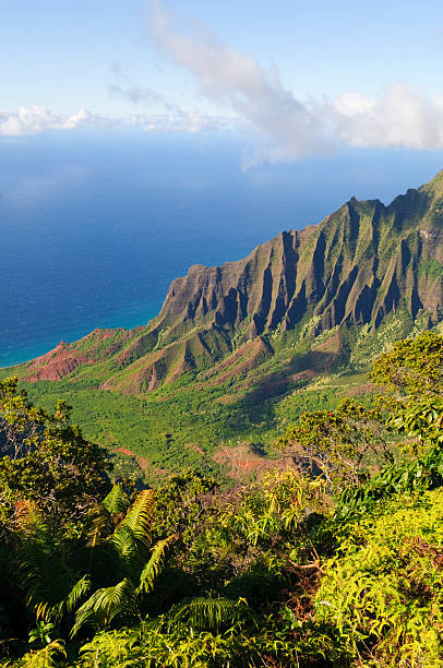 istock Kalalau Lookout and Na Pali Coast 166092415