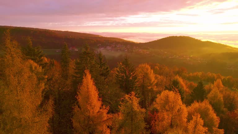 AERIAL: Colourful autumn forest glowing in spectacular golden morning sunlight