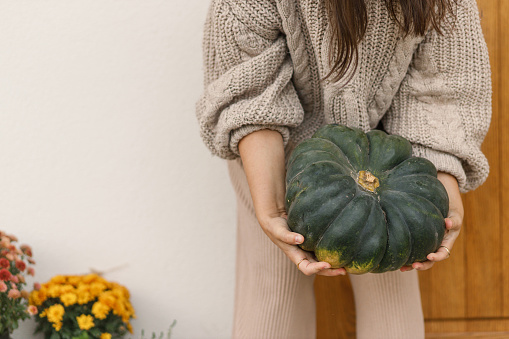 Big autumn pumpkin in hands close up for house entrance decor. Woman in knitted sweater decorating farmhouse front door with pumpkins. Fall arrangement