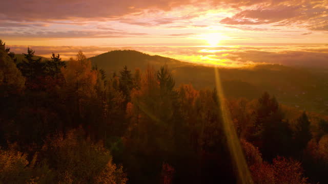 AERIAL, LENS FLARE: Magnificent sunset over colorful autumn woods in countryside