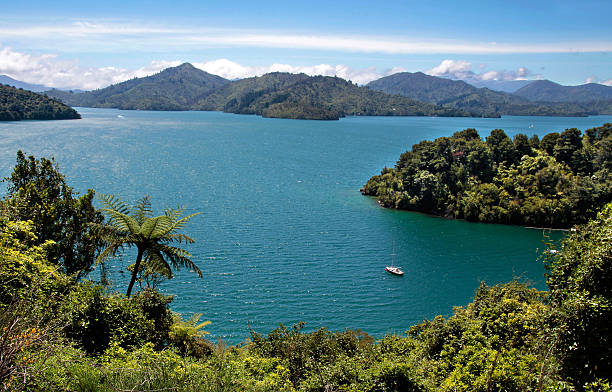 sonidos de marlborough - queen charlotte sound fotografías e imágenes de stock